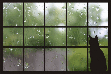 雨ＪＩＦ
